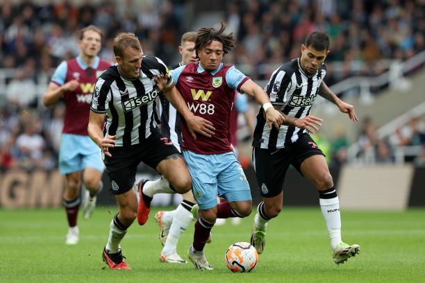 界整体发展 界整体发展